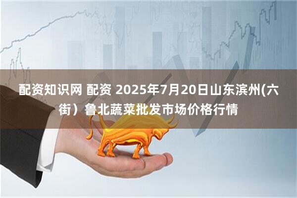 配资知识网 配资 2025年7月20日山东滨州(六街）鲁北蔬菜批发市场价格行情